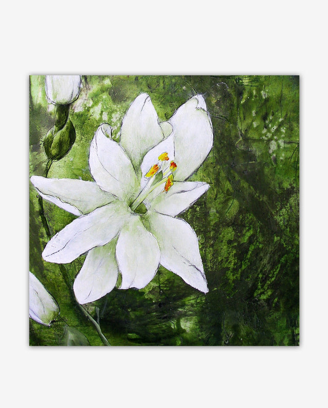 Lerne im geistreich Online-Kurs mit Anita Hörskens Passionsblumen kennen