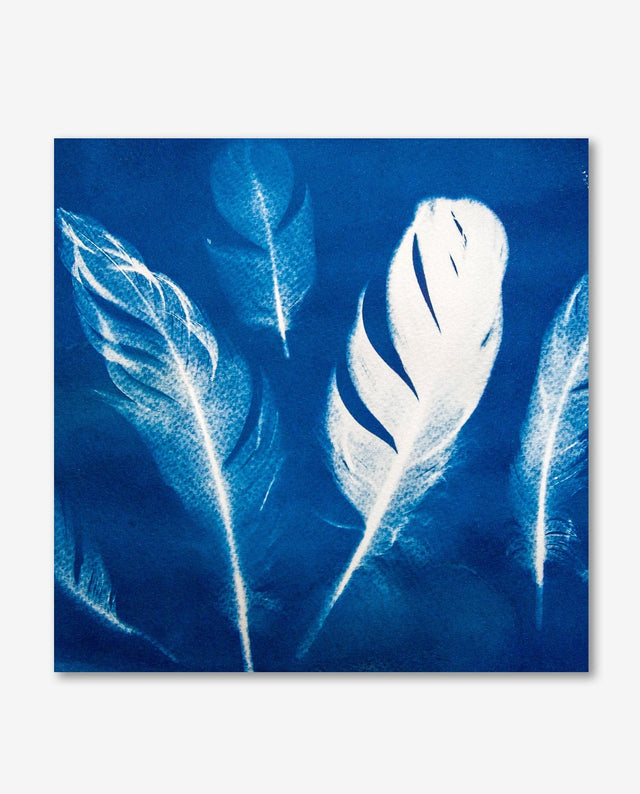 Lerne im geistreich Online-Kurs mit Cordula Kagemann Einführung in Cyanotypie - Blaudruck kennen