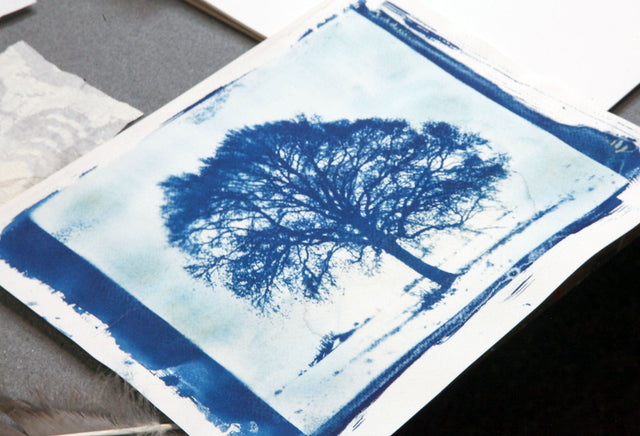 Lerne im geistreich Online-Kurs mit Cordula Kagemann Einführung in Cyanotypie - Blaudruck kennen