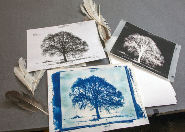 Lerne im geistreich Online-Kurs mit Cordula Kagemann Einführung in Cyanotypie - Blaudruck kennen