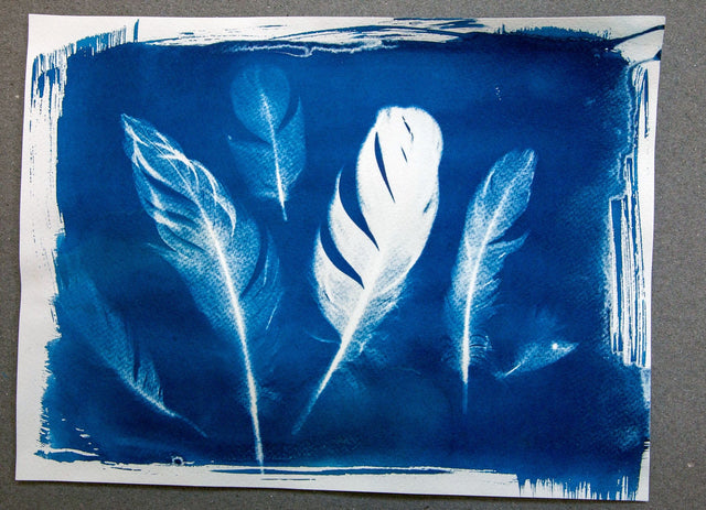 Lerne im geistreich Online-Kurs mit Cordula Kagemann Einführung in Cyanotypie - Blaudruck kennen