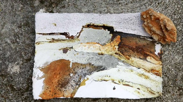 Lerne im geistreich Online-Kurs mit Gabriele Musebrink Mit Gabriele Musebrink auf Mallorca! kennen