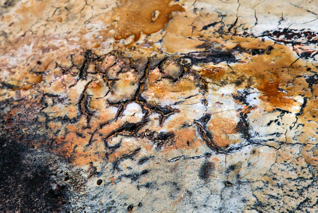 Lerne im geistreich Online-Kurs mit Gabriele Musebrink Moultings - Voiceover (EN) kennen