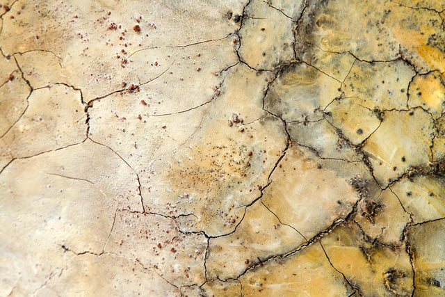 Lerne im geistreich Online-Kurs mit Gabriele Musebrink Moultings - Voiceover (EN) kennen