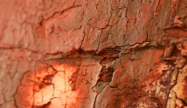 Lerne im geistreich Online-Kurs mit Gabriele Musebrink Rot. Struktur in Spannung kennen