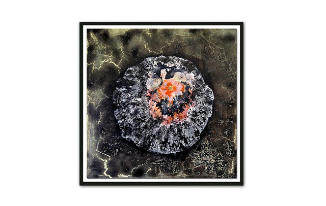 Lerne im geistreich Online-Kurs mit Günther Reil Adhäsions-Technik von der Leiter kennen