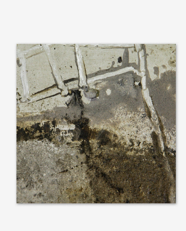 Lerne im geistreich Online-Kurs mit Ines Hildur Seminar - Fläche und Asche kennen