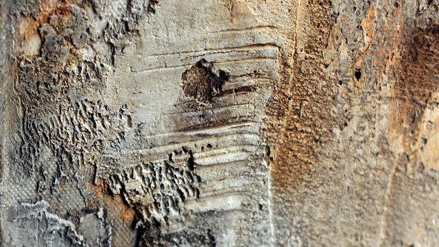 Lerne im geistreich Online-Kurs mit Ute Hoeg Baumaterial trifft Baumaterial kennen