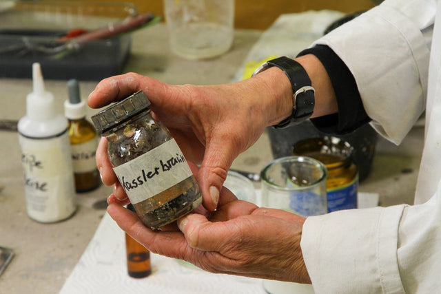 Lerne im geistreich Online-Kurs mit Ute Hoeg Strukturen im Wandel kennen