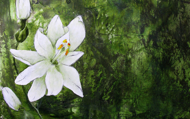 Lerne im geistreich Online-Kurs mit Anita Hörskens Passionsblumen kennen