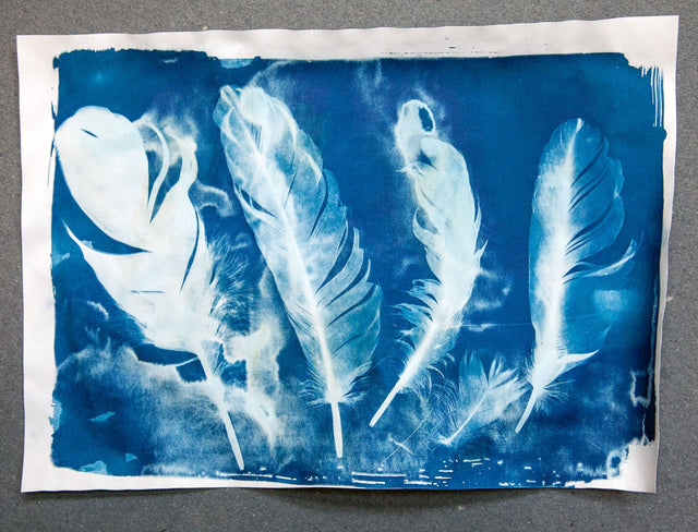 Lerne im geistreich Online-Kurs mit Cordula Kagemann Einführung in Cyanotypie - Blaudruck kennen