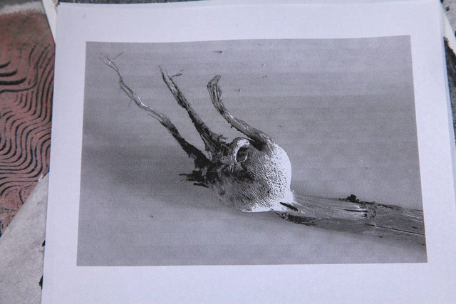 Lerne im geistreich Online-Kurs mit Cordula Kagemann Gellidruck und Collage kennen