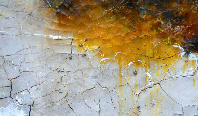 Lerne im geistreich Online-Kurs mit Gabriele Musebrink Häutungen kennen