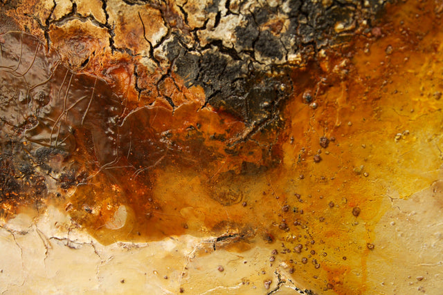 Lerne im geistreich Online-Kurs mit Gabriele Musebrink Häutungen kennen