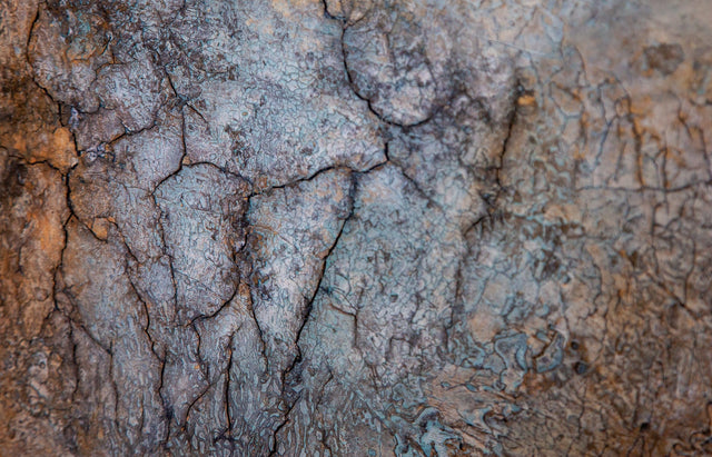 Lerne im geistreich Online-Kurs mit Gabriele Musebrink Metamorphose - kleines Format kennen