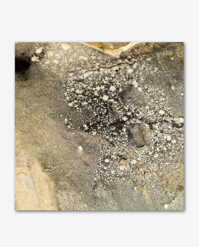 Lerne im geistreich Online-Kurs mit Gabriele Musebrink Transparenzen auf Leinwand kennen