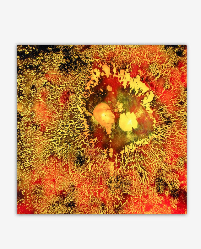 Lerne im geistreich Online-Kurs mit Günther Reil Adhäsions-Technik von der Leiter kennen