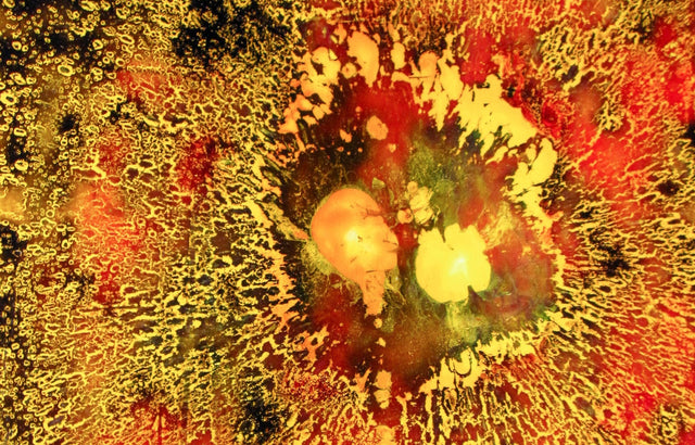 Lerne im geistreich Online-Kurs mit Günther Reil Adhäsions-Technik von der Leiter kennen