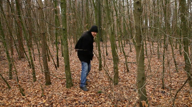 Lerne im geistreich Online-Kurs mit Günther Reil Reilscher-Wald - informell & experimentell kennen