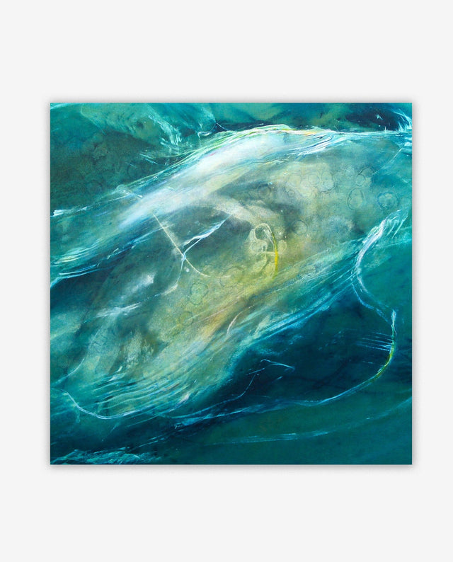 Lerne im geistreich Online-Kurs mit Hinrich Schüler Aquasphere - Unterwasserwelten kennen