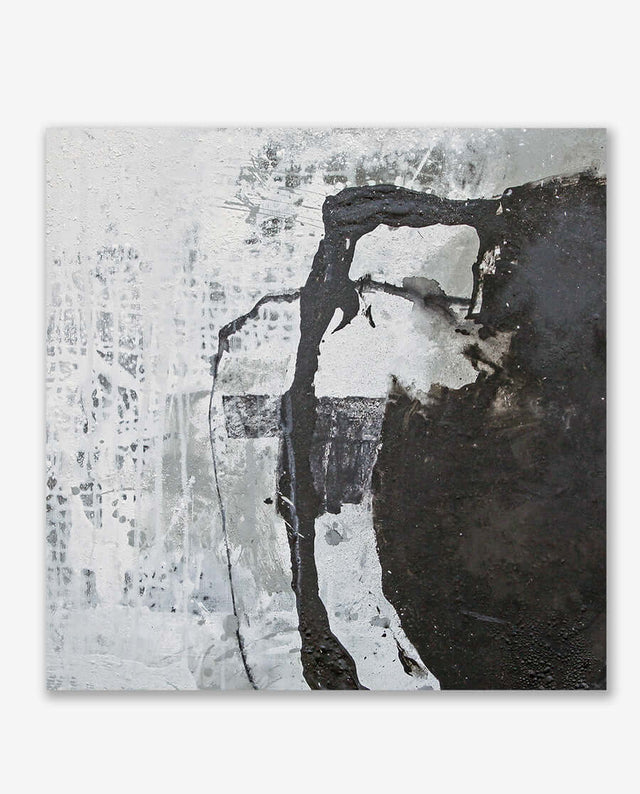 Lerne im geistreich Online-Kurs mit Ines Hildur Weiß und Schwarz in Staubtechnik kennen