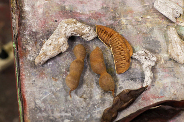 Lerne im geistreich Online-Kurs mit Sabine Kinder Acryl-Mischtechnik und Foto-Transfer kennen