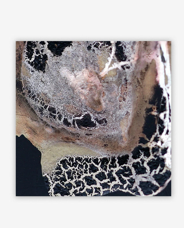 Lerne im geistreich Online-Kurs mit Steffen Rolla 5-Minuten-Bilder - Quick & Easy kennen