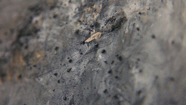 Lerne im geistreich Online-Kurs mit Steffen Rolla Baumaterial, Kohle und Schellack kennen